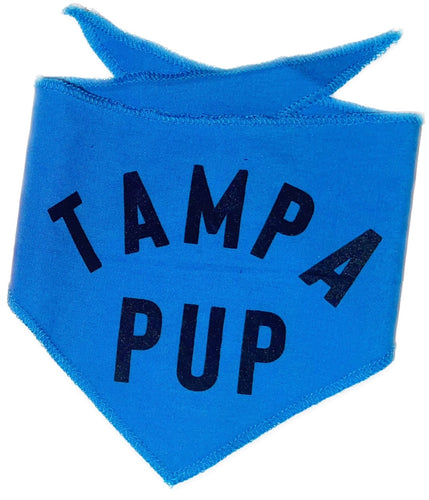 Light Blue Tampa Pup